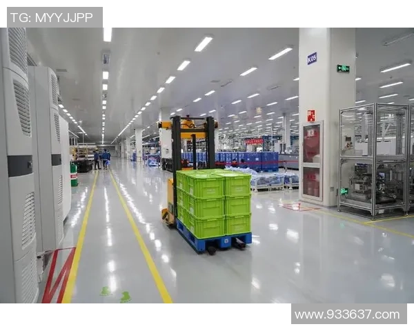 十年磨一剑K1塑造专业体育新标杆与未来发展之路 十年磨一剑K1塑造专业体育新标杆与未来发展之路